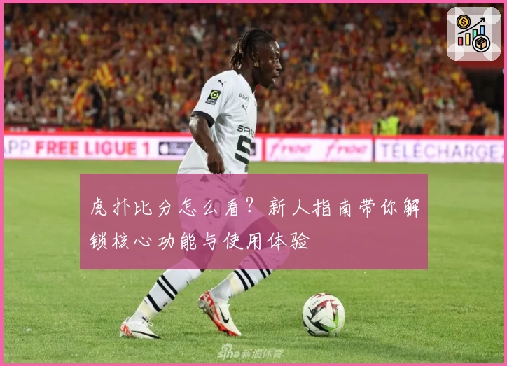 虎扑比分怎么看？新人指南带你解锁核心功能与使用体验